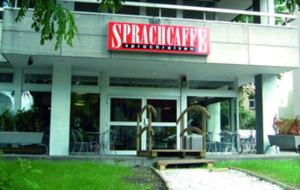 Frankfurt – szkoła Sprachcaffe