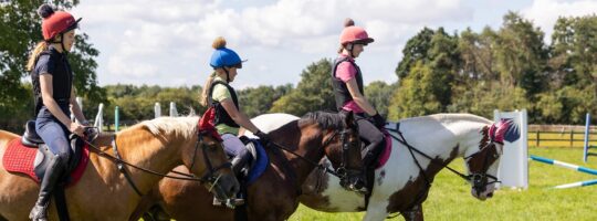 Anglia- Wiltshire - obóz jeździecki prestiżowa szkoła Stonar